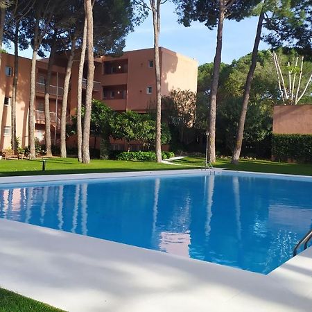 Bonito Apartamento, Con Piscina, Excelente Wifi Y Aire Acondicionado 帕尔斯 外观 照片