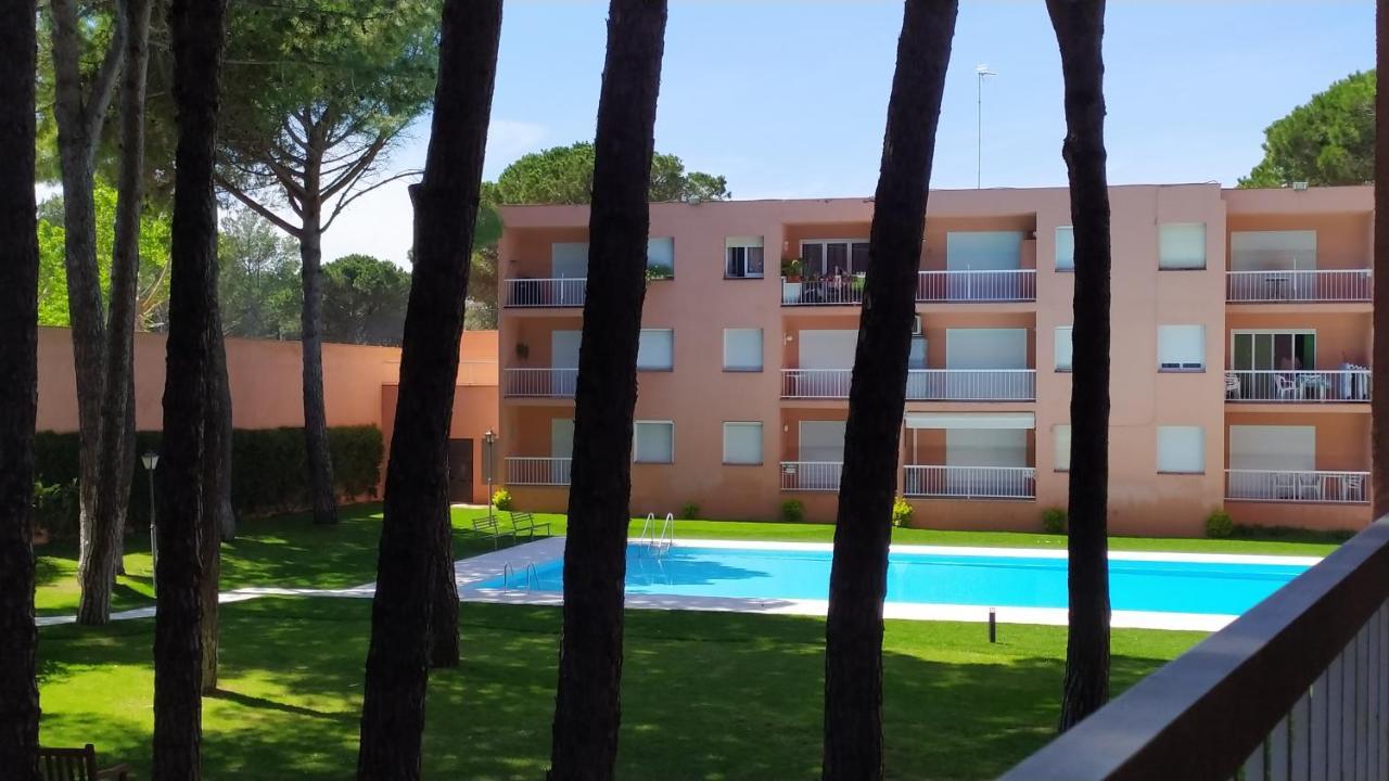 Bonito Apartamento, Con Piscina, Excelente Wifi Y Aire Acondicionado 帕尔斯 外观 照片