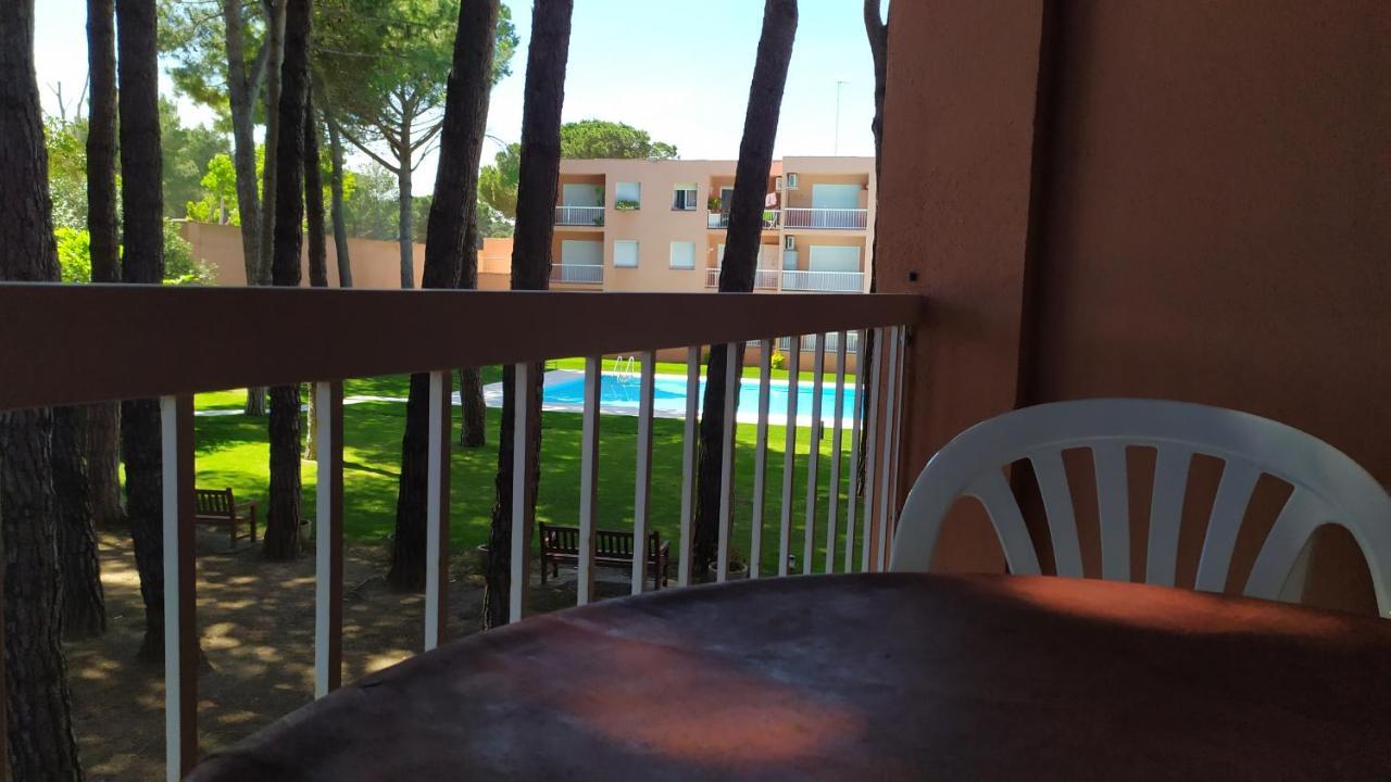 Bonito Apartamento, Con Piscina, Excelente Wifi Y Aire Acondicionado 帕尔斯 外观 照片