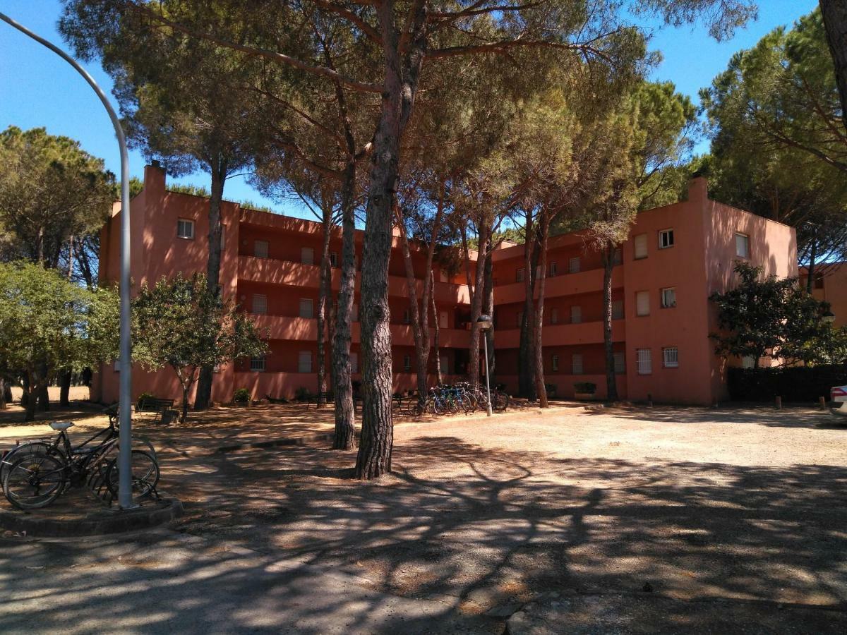 Bonito Apartamento, Con Piscina, Excelente Wifi Y Aire Acondicionado 帕尔斯 外观 照片